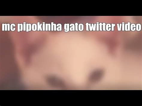 mc pipokinha com o gato|VÍDEO: MC Pipokinha se envolve em nova polêmica e é acusada。